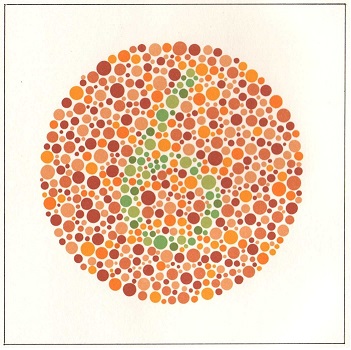 ishihara7.jpg
